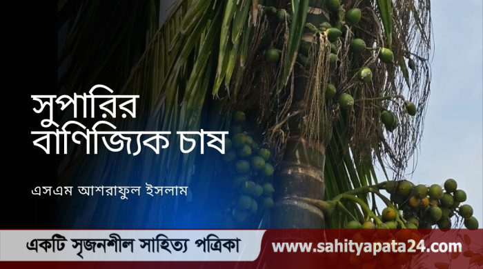 সুপারি